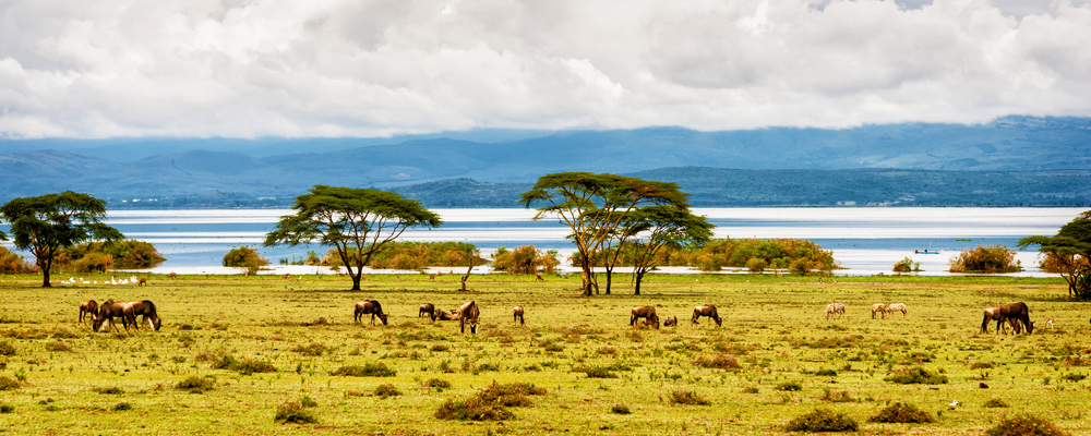 paysage-du-kenya